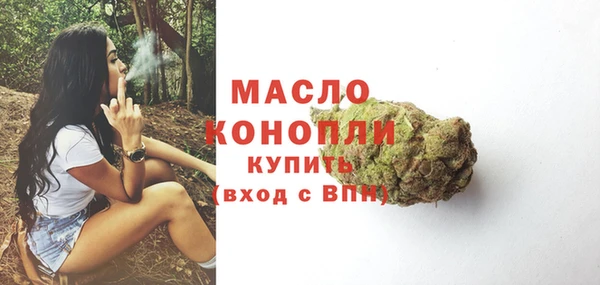 молекула духа Богданович