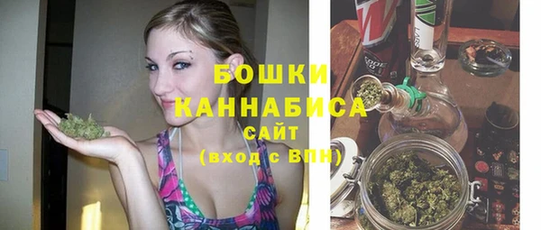 молекула духа Богданович