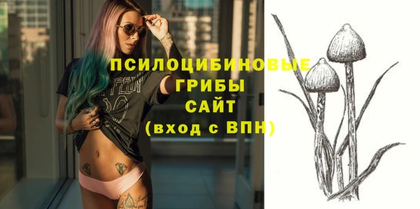 стаф Беломорск