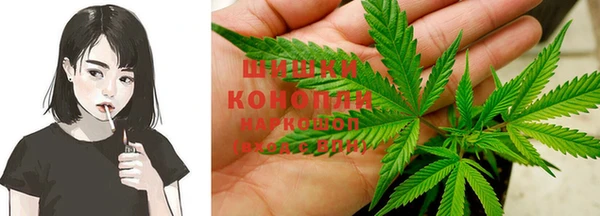 молекула духа Богданович
