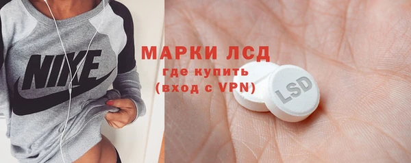 молекула духа Богданович