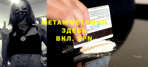 молекула духа Богданович