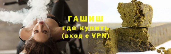 молекула духа Богданович