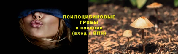 молекула духа Богданович