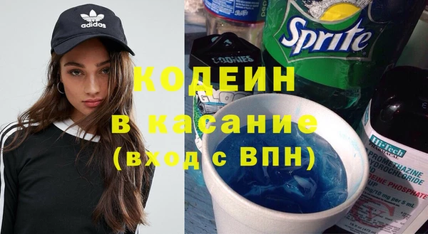 молекула духа Богданович