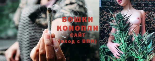 стаф Беломорск