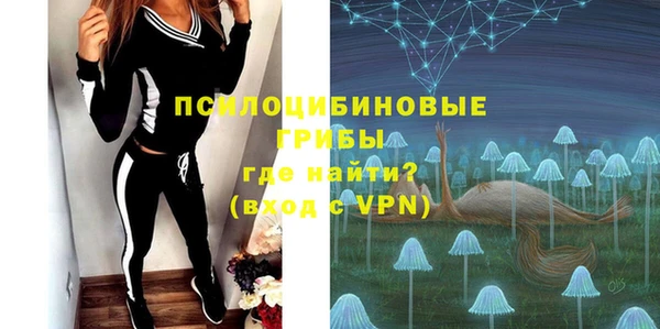 СК Богородицк
