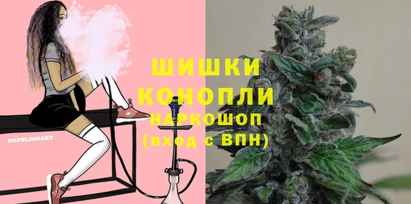 СК Богородицк
