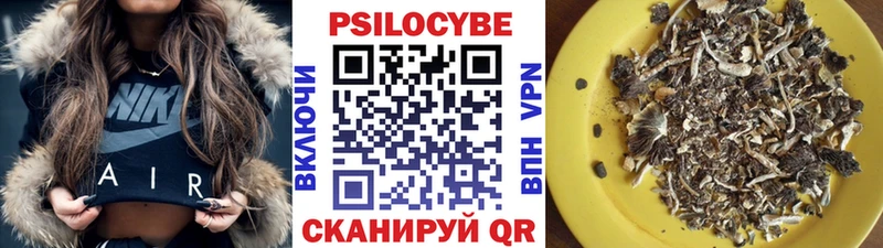 даркнет сайт  Михайлов  Галлюциногенные грибы Cubensis 